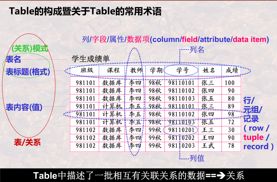 image-20240103131042679