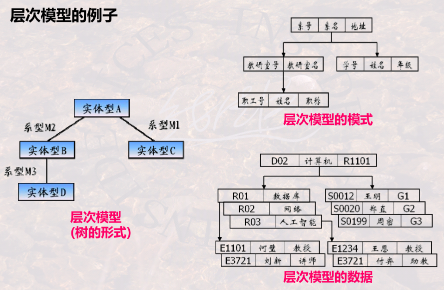 image-20240104162023533