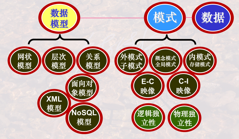 image-20240104163949522