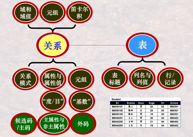 image-20240107105654307