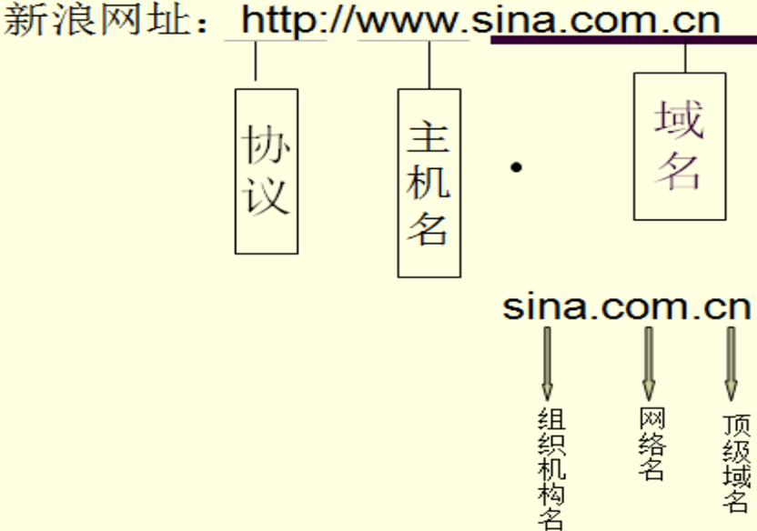 image-20210313125503780