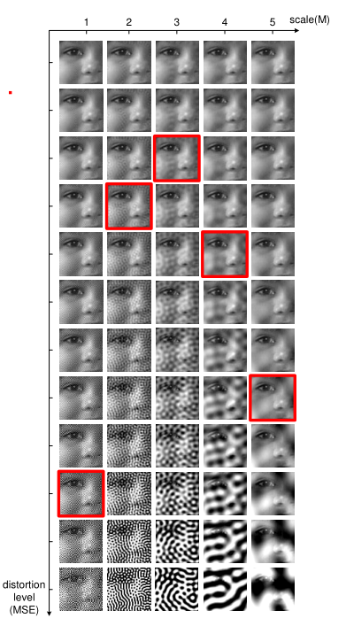 image-20210417164559480