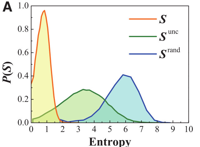 image-20210828094211427