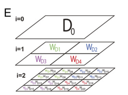 image-20211116164858893