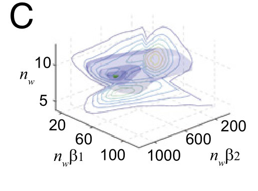 image-20211116174011928