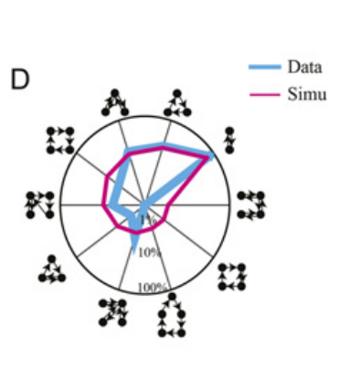 image-20211116175329672