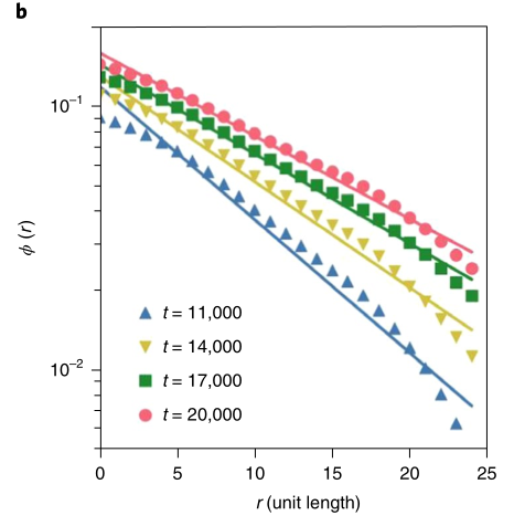 image-20220113014624493