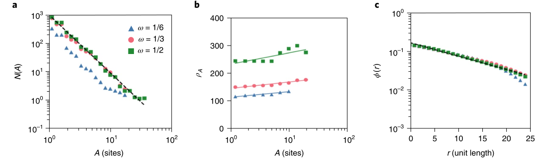 image-20220113015227045