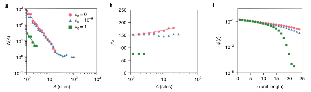 image-20220113022002649